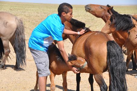 D:\DataFoto\Foto's - Reizen\2013-07-08 Mongolie\13 - Paardenherder\Werkmap\MONG2319.JPG