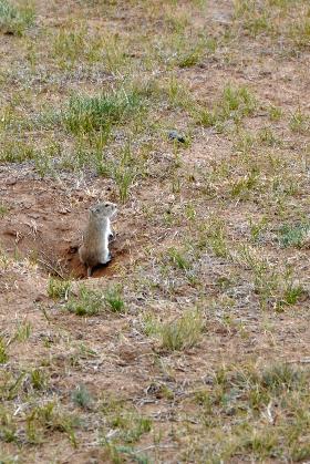 D:\DataFoto\Foto's - Reizen\2013-07-08 Mongolie\20 - Kharkhorin\MONG3414s.jpg