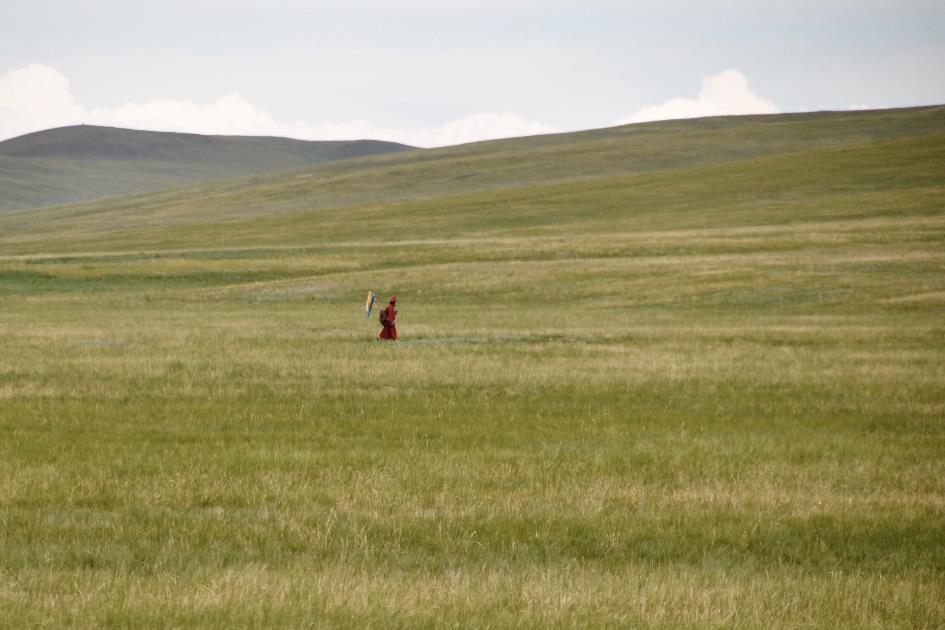 D:\DataFoto\Foto's - Reizen\2013-07-08 Mongolie\18 - Ovgon Khiid\MONG2985y.jpg