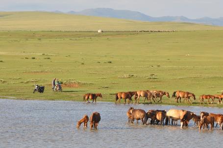 D:\DataFoto\Foto's - Reizen\2013-07-08 Mongolie\21 - Khustain\Werkmap\MONG3423x.jpg