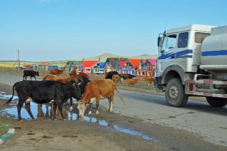 D:\DataFoto\Foto's - Reizen\2013-07-08 Mongolie\21 - Khustain\MONG3461y.jpg