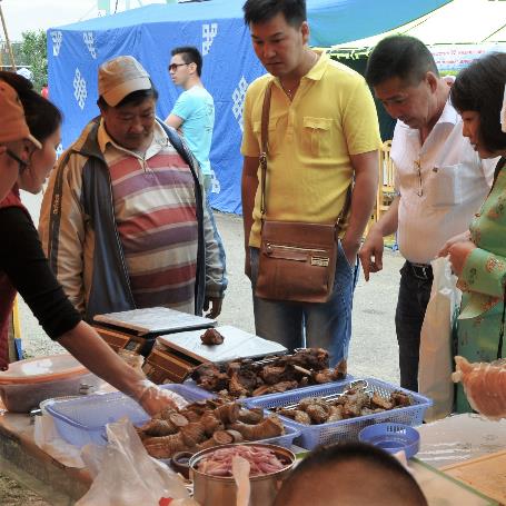 D:\DataFoto\Foto's - Reizen\2013-07-08 Mongolie\24 - 01 Naadam Ingang stadion\Werkmap\MONG0317v.jpg