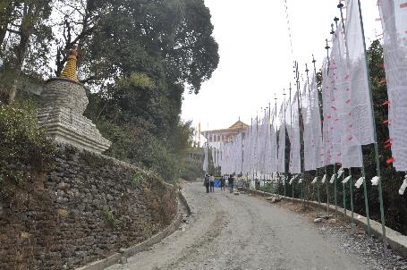 D:\DataFoto\Foto's - Reizen\2014-04-05 Darjeeling-Sikkim-Bhutan\02 Werkmap\BHUT0521.JPG