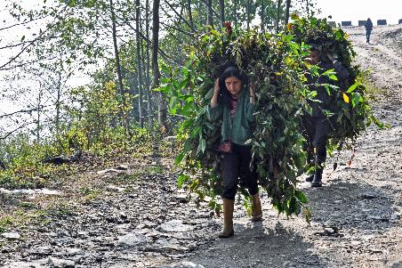 D:\DataFoto\Foto's - Reizen\2014-04-05 Darjeeling - Sikkim - Bhutan\02 Pelling\BHUT0628y.jpg