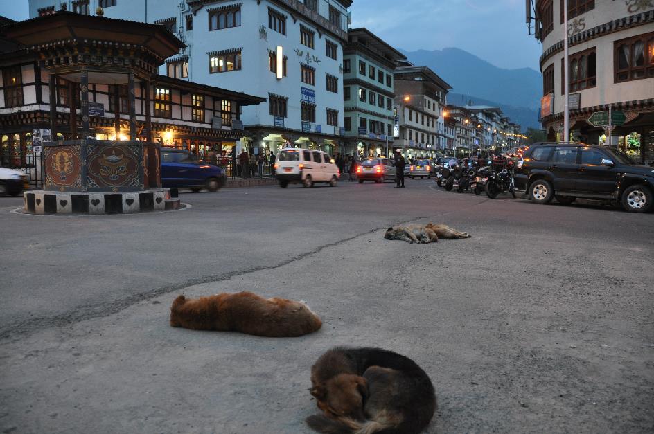 D:\DataFoto\Foto's - Reizen\2014-04-05 Darjeeling-Sikkim-Bhutan\14 Thimpu\14 Werkmap\BHUT1708.JPG