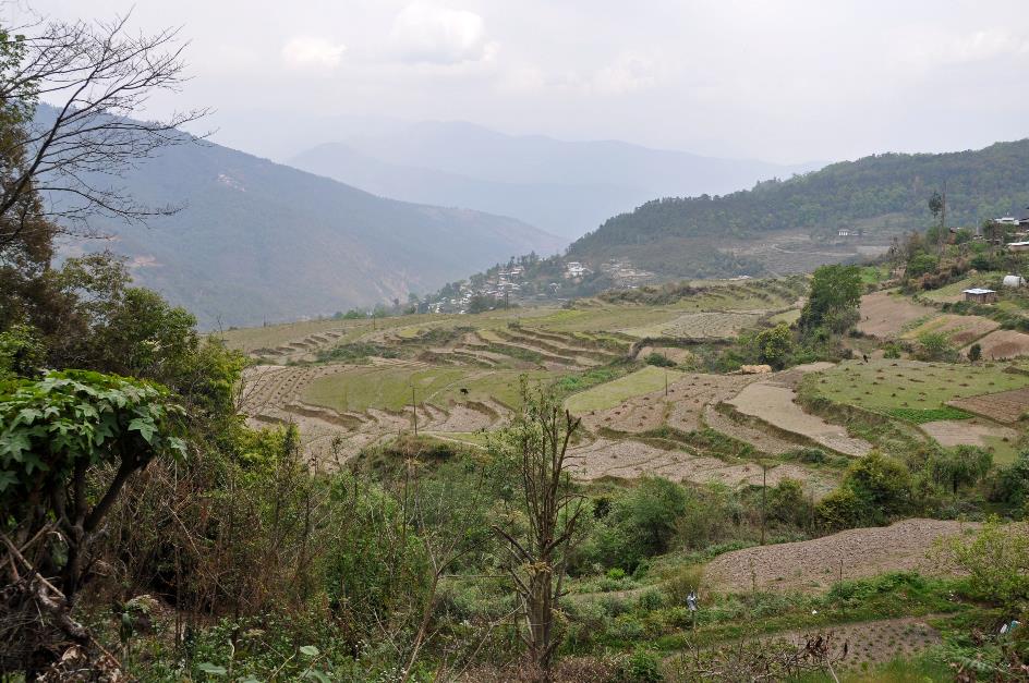 D:\DataFoto\Foto's - Reizen\2014-04-05 Darjeeling - Sikkim - Bhutan\07 Naar Punaka\BHUT1929y.jpg