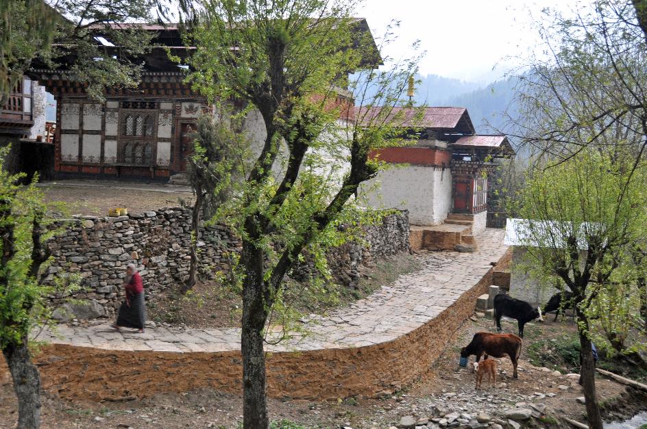 D:\DataFoto\Foto's - Reizen\2014-04-05 Darjeeling - Sikkim - Bhutan\09 Naar Bumthang\BHUT2279y.jpg