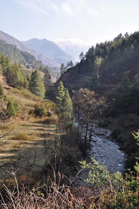 D:\DataFoto\Foto's - Reizen\2014-04-05 Darjeeling-Sikkim-Bhutan\13 Naar Thimpu\13 Werkmap\BHUT2772x.jpg