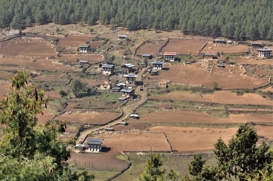 D:\DataFoto\Foto's - Reizen\2014-04-05 Darjeeling-Sikkim-Bhutan\13 Naar Thimpu\13 Werkmap\BHUT2869y.jpg