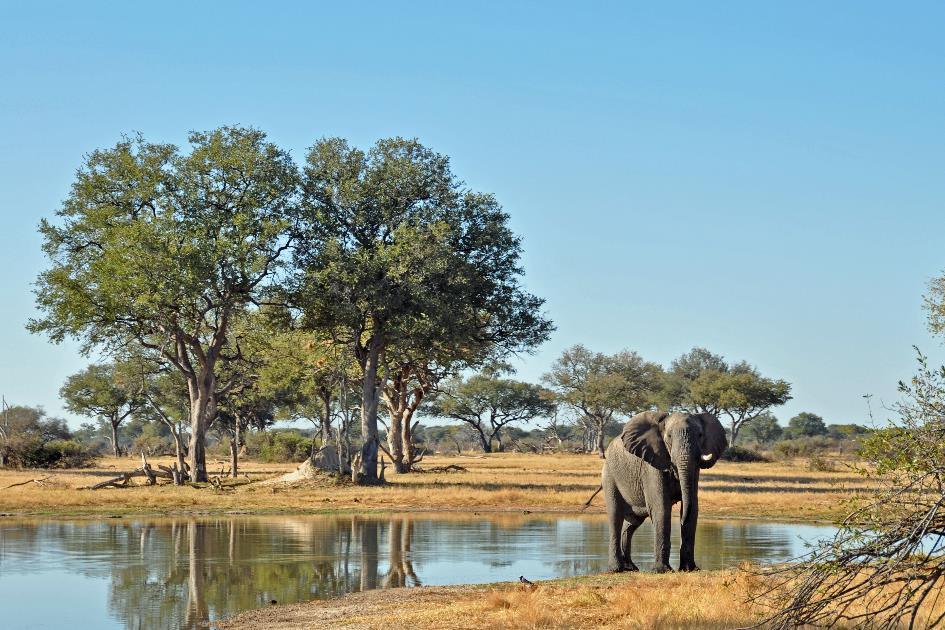 D:\DataFoto\Foto's - Reizen\2014-07-09 Victoria Falls\04 Hwange Safari 1N\Best Of\VICT0436y.jpg