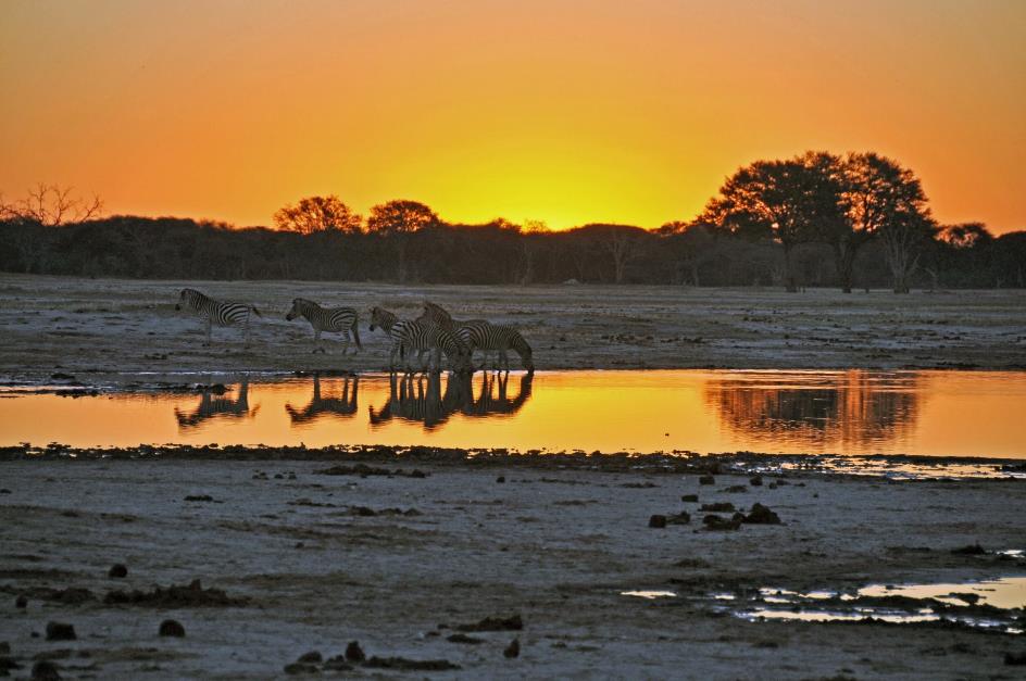 D:\DataFoto\Foto's - Reizen\2014-07-09 Victoria Falls\06 Hwange Safari 2N\Best Of\VICT0963y.jpg