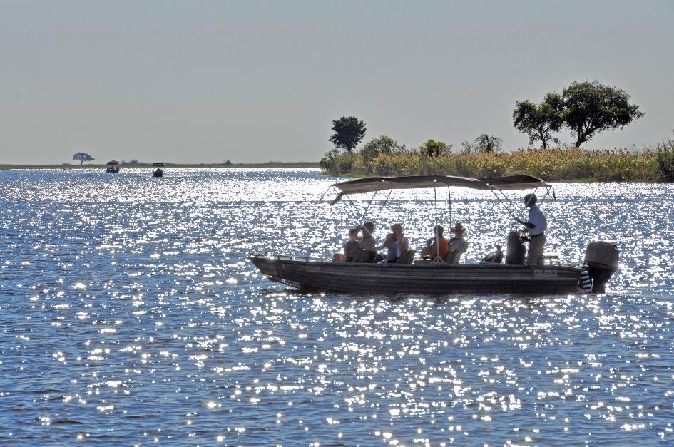 D:\DataFoto\Foto's - Reizen\2014-07-09 Victoria Falls\08 Chobe Boot 1N\Best Of\VICT1026y.jpg