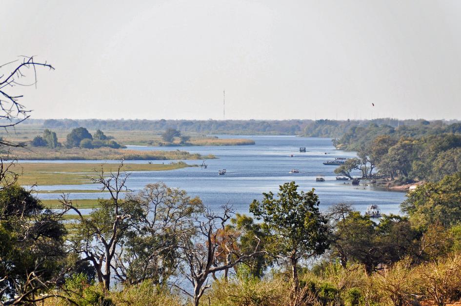 D:\DataFoto\Foto's - Reizen\2014-07-09 Victoria Falls\13 Chobe Safari 3N\Best Of\VICT2371y.jpg