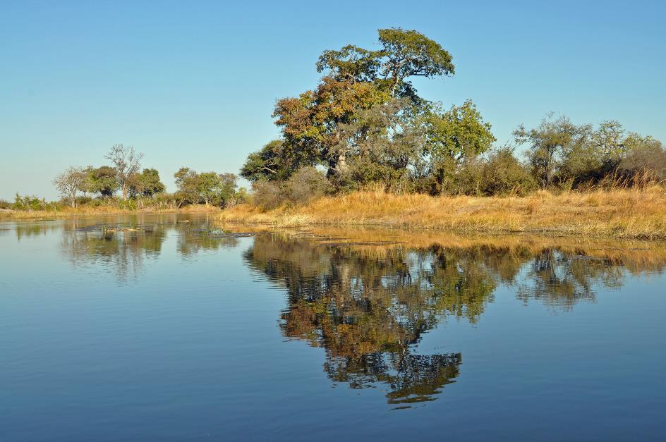 D:\DataFoto\Foto's - Reizen\2014-07-09 Victoria Falls\15 Mazambala Boot 1N\Best Of\VICT2827y.jpg