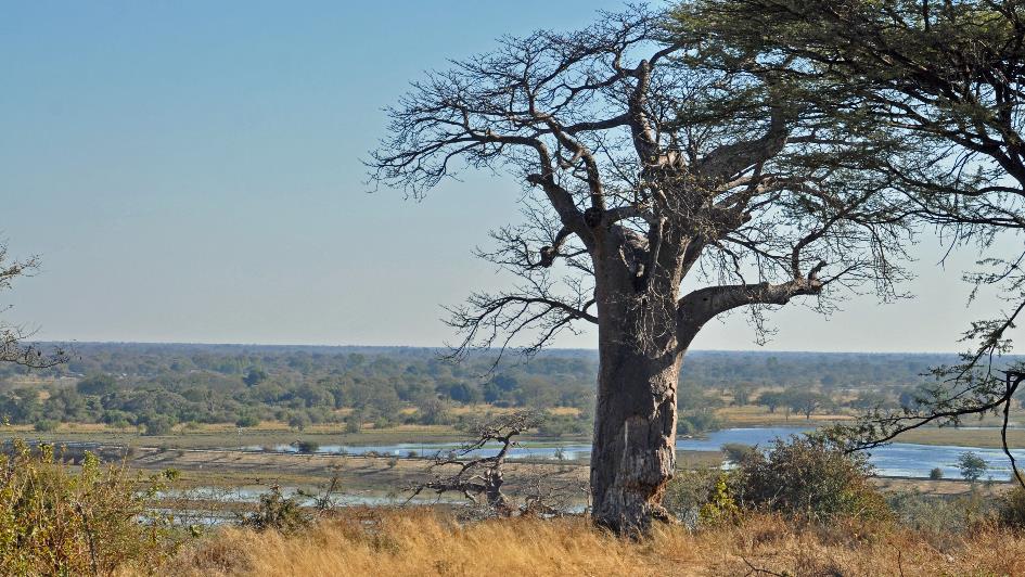 D:\DataFoto\Foto's - Reizen\2014-07-09 Victoria Falls\14 Naar Mazambala\Best Of\VICT2565b.jpg