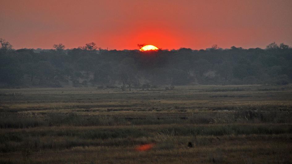 D:\DataFoto\Foto's - Reizen\2014-07-09 Victoria Falls\15 Mazambala Boot 1N\Best Of\VICT2942b.jpg