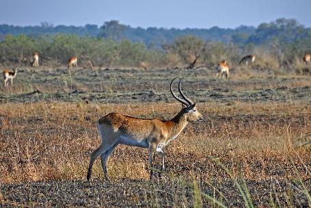 D:\DataFoto\Foto's - Reizen\2014-07-09 Victoria Falls\16 Mazambala Walk 2V\Best Of\VICT2953y.jpg