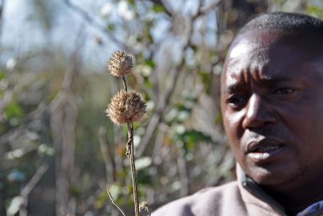 D:\DataFoto\Foto's - Reizen\2014-07-09 Victoria Falls\16 Mazambala Walk 2V\Best Of\VICT3017y.jpg