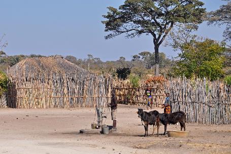 D:\DataFoto\Foto's - Reizen\2014-07-09 Victoria Falls\14 Naar Mazambala\Best Of\VICT2630y.jpg