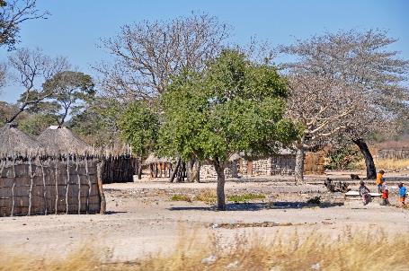 D:\DataFoto\Foto's - Reizen\2014-07-09 Victoria Falls\14 Naar Mazambala\Best Of\VICT2663y.jpg