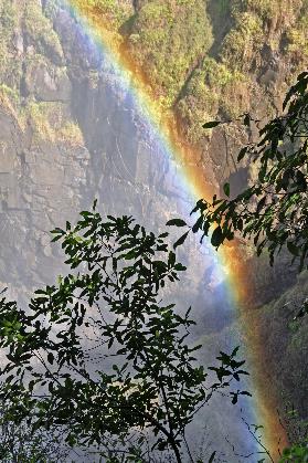 D:\DataFoto\Foto's - Reizen\2014-07-09 Victoria Falls\22 Victoria Falls Zim\Best Of\VICT3882y.jpg