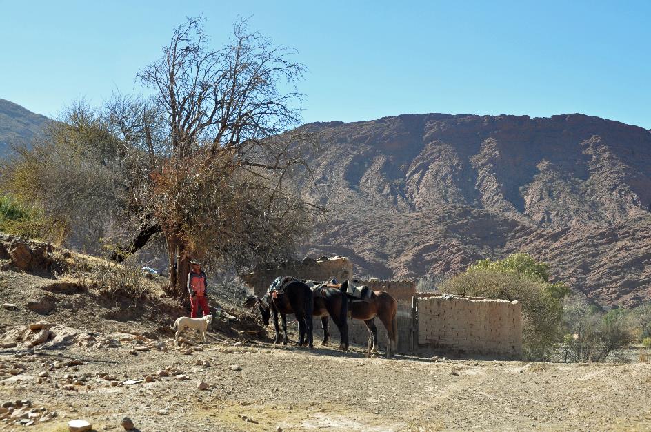 D:\DataFoto\Foto's - Reizen\2015-07-11 Argentinie - Bolivie - Chili\18 Tupiza tocht te paard\AGBC1363y.jpg
