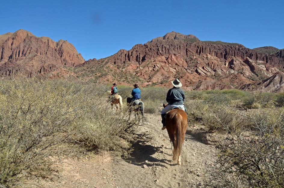 D:\DataFoto\Foto's - Reizen\2015-07-11 Argentinie - Bolivie - Chili\18 Tupiza tocht te paard\AGBC1399y.jpg