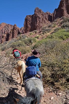 D:\DataFoto\Foto's - Reizen\2015-07-11 Argentinie - Bolivie - Chili\18 Tupiza tocht te paard\AGBC1443y.jpg