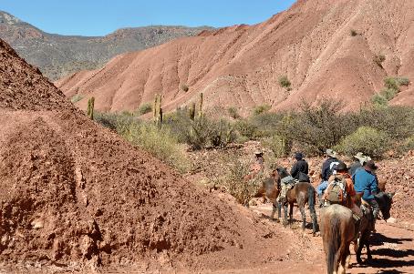 D:\DataFoto\Foto's - Reizen\2015-07-11 Argentinie - Bolivie - Chili\18 Tupiza tocht te paard\AGBC1558y.jpg