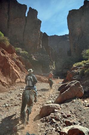 D:\DataFoto\Foto's - Reizen\2015-07-11 Argentinie - Bolivie - Chili\18 Tupiza tocht te paard\AGBC1633y.jpg
