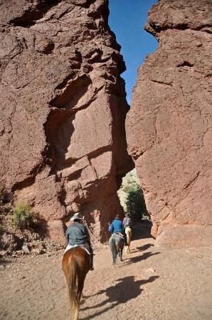 D:\DataFoto\Foto's - Reizen\2015-07-11 Argentinie - Bolivie - Chili\18 Tupiza tocht te paard\AGBC1697y.jpg