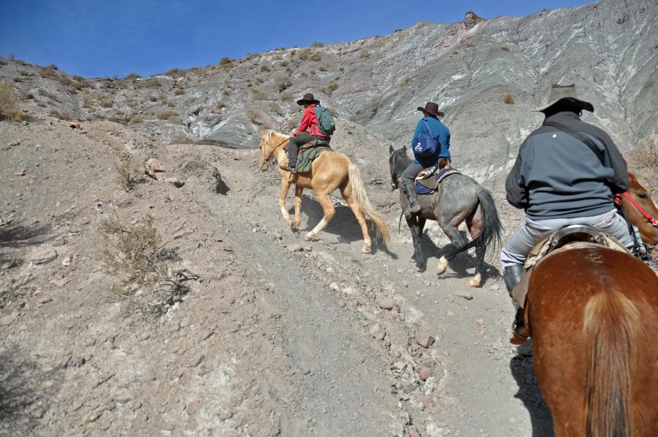 D:\DataFoto\Foto's - Reizen\2015-07-11 Argentinie - Bolivie - Chili\18 Tupiza tocht te paard\AGBC1706y.jpg