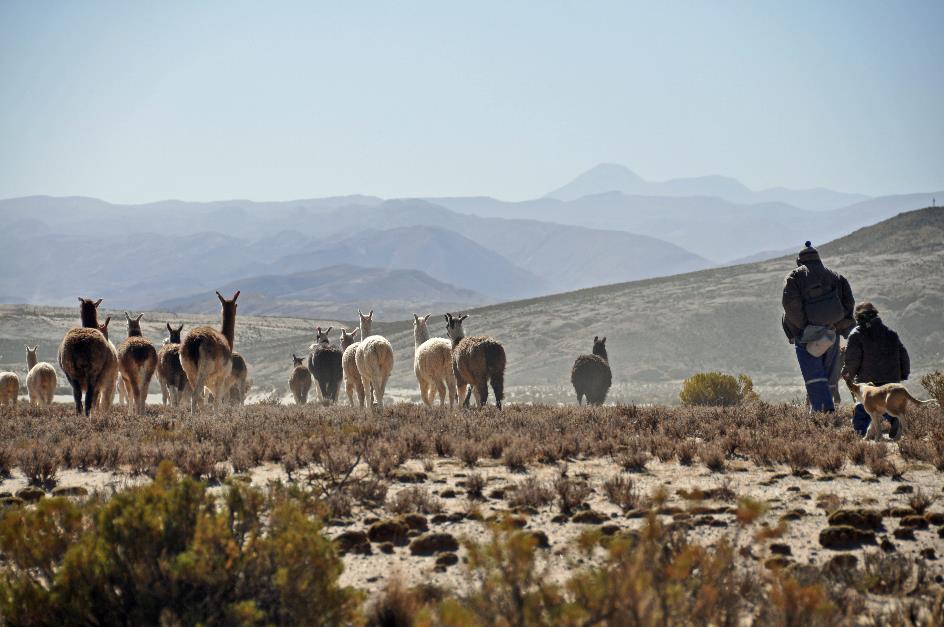 D:\DataFoto\Foto's - Reizen\2015-07-11 Argentinie - Bolivie - Chili\19 Naar Uyuni\AGBC1901y.jpg