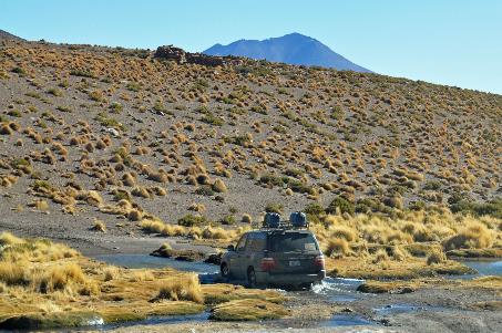 D:\DataFoto\Foto's - Reizen\2015-07-11 Argentinie - Bolivie - Chili\27 Naar Ojo de Perdiz\AGBC2669y.jpg