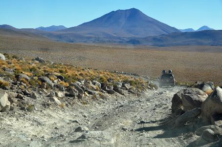 D:\DataFoto\Foto's - Reizen\2015-07-11 Argentinie - Bolivie - Chili\27 Naar Ojo de Perdiz\AGBC2692y.jpg