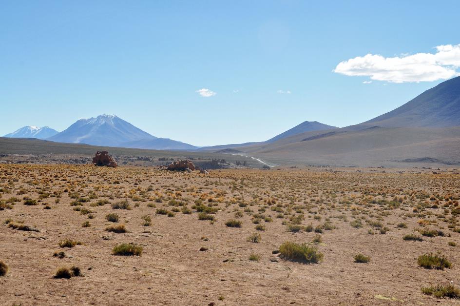 D:\DataFoto\Foto's - Reizen\2015-07-11 Argentinie - Bolivie - Chili\27 Naar Ojo de Perdiz\AGBC2642y.jpg