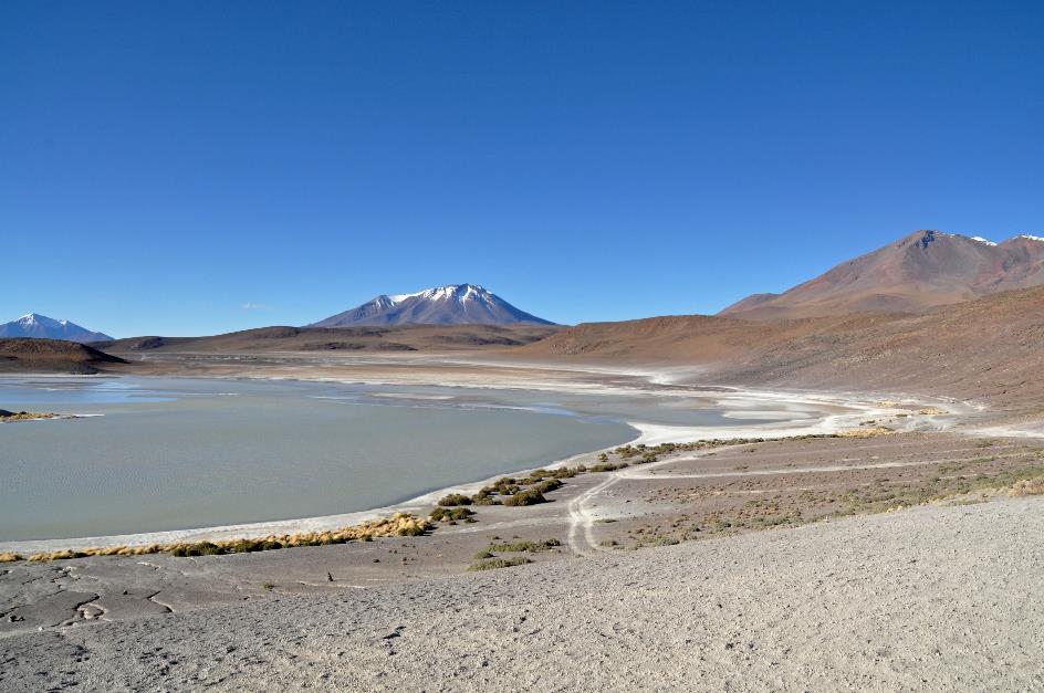 D:\DataFoto\Foto's - Reizen\2015-07-11 Argentinie - Bolivie - Chili\27 Naar Ojo de Perdiz\AGBC2849y.jpg
