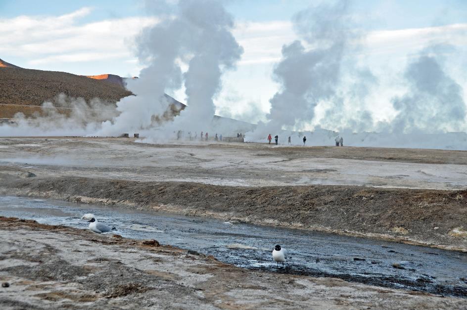 D:\DataFoto\Foto's - Reizen\2015-07-11 Argentinie - Bolivie - Chili\33 El Tatio\AGBC3616y.jpg