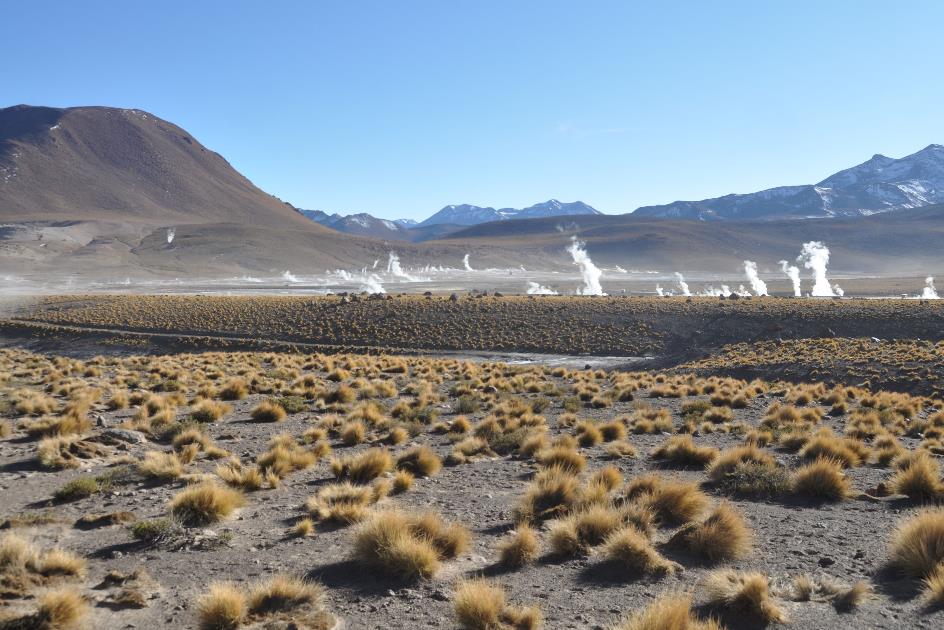 D:\DataFoto\Foto's - Reizen\2015-07-11 Argentinie - Bolivie - Chili\33 El Tatio\AGBC3736y.jpg