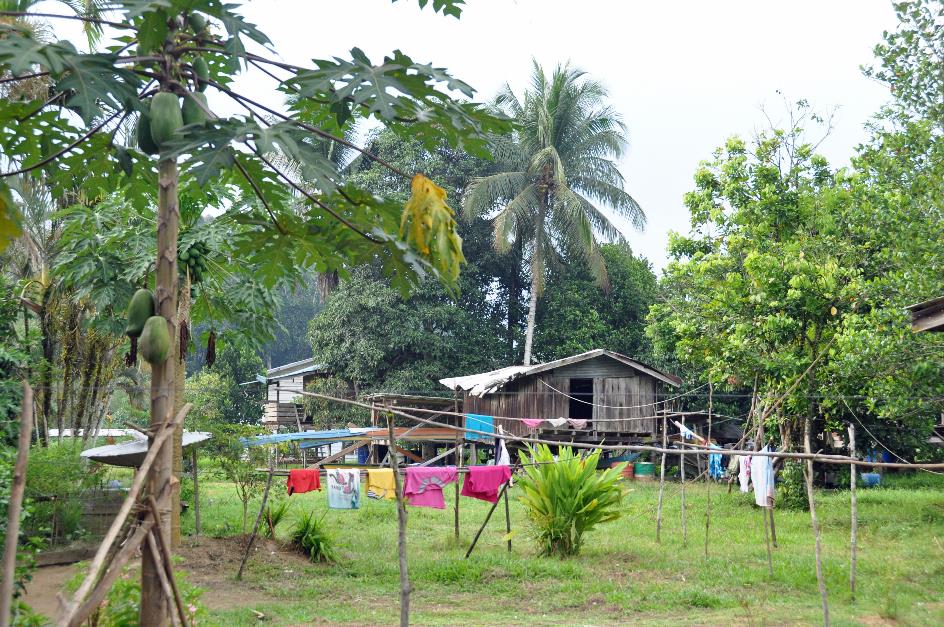 D:\DataFoto\Foto's - Reizen\2016-03-26 Borneo\03 Mulu NP - Penan\BORN0287y.jpg