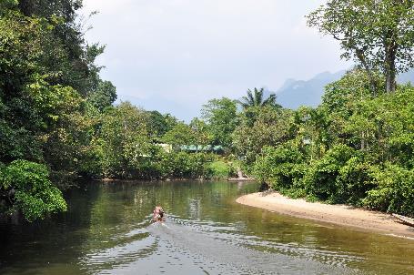 D:\DataFoto\Foto's - Reizen\2016-03-26 Borneo\02 Mulu NP\Werkmap\BORN0729x.jpg