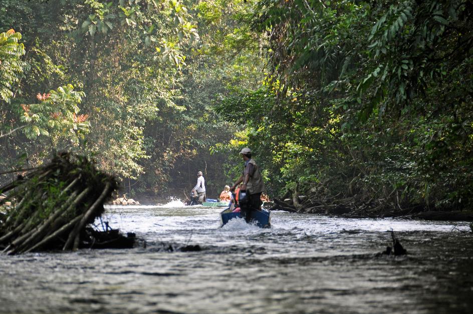 D:\DataFoto\Foto's - Reizen\2016-03-26 Borneo\04 Mulu NP - Grotten (V)\BORN0440y.jpg