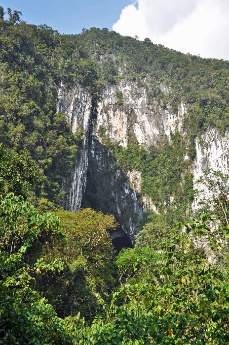 D:\DataFoto\Foto's - Reizen\2016-03-26 Borneo\05 Mulu NP - Grotten (N)\BORN0804y.jpg