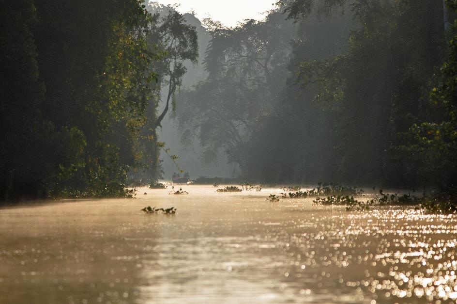 D:\DataFoto\Foto's - Reizen\2016-03-26 Borneo\17 Boottocht Menanggul\BORN3256y.jpg