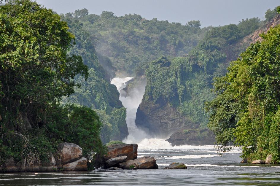 D:\DataFoto\Foto's - Reizen\2016-07-11 Oeganda - Rwanda\03 Murchison Falls Bootsafari 1N1\Best Of\OERW0847y.jpg