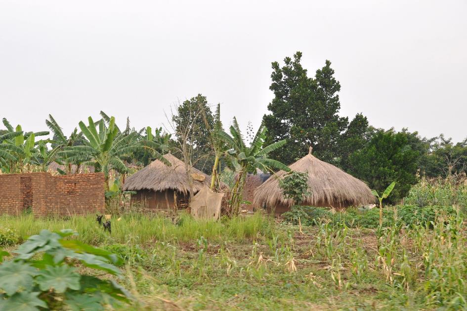 D:\DataFoto\Foto's - Reizen\2016-07-11 Oeganda - Rwanda\08 Naar Lake Papaya\Best Of\OERW1153y.jpg