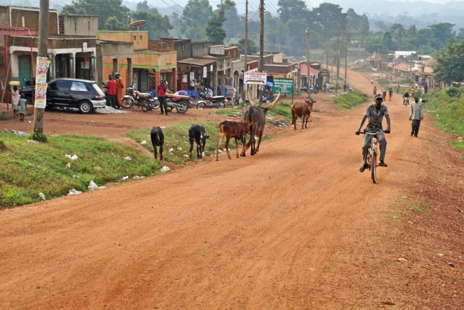 D:\DataFoto\Foto's - Reizen\2016-07-11 Oeganda - Rwanda\08 Naar Lake Papaya\Best Of\OERW1234y.jpg