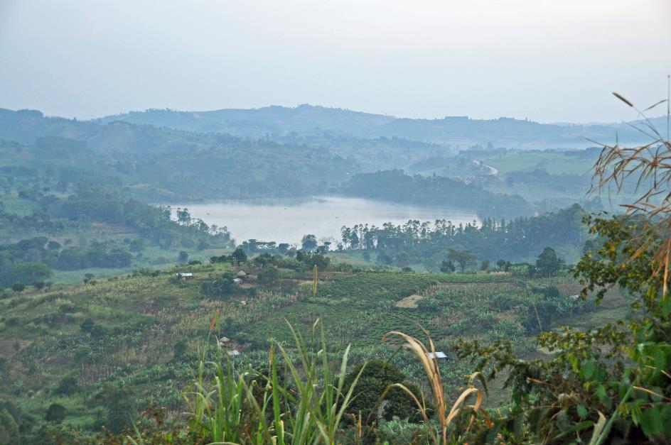 D:\DataFoto\Foto's - Reizen\2016-07-11 Oeganda - Rwanda\09 Kibale Chimpansee Trekking\Best Of\OERW1261y.jpg