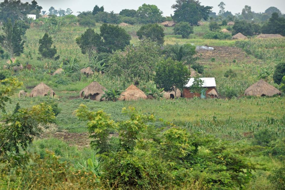 D:\DataFoto\Foto's - Reizen\2016-07-11 Oeganda - Rwanda\08 Naar Lake Papaya\Best Of\OERW1161y.jpg