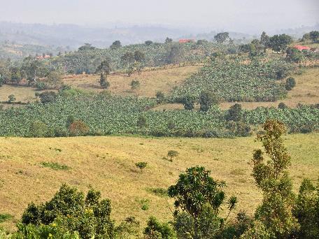 D:\DataFoto\Foto's - Reizen\2016-07-11 Oeganda - Rwanda\12 Lake Papaya Wandeling\Best Of\OERW1805q.jpg